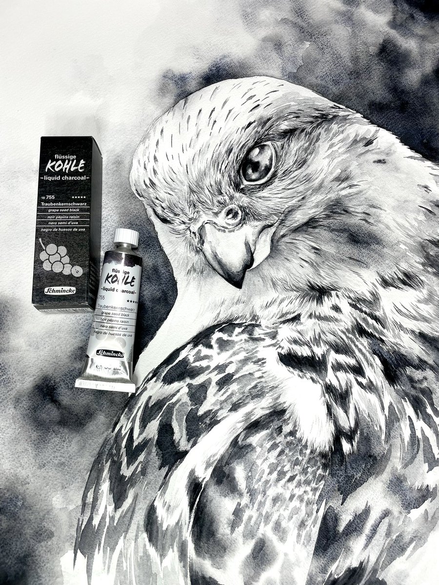 猛禽類シリーズ どの子がお好み ʚ ໒ シュミンケ リキッ Minori の漫画