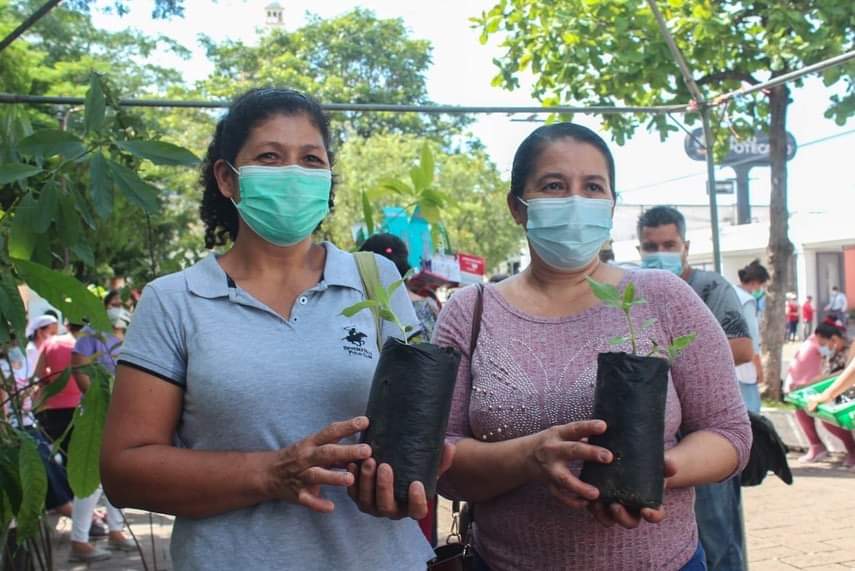 Alcaldia_SV's tweet photo. #UMA | Las acciones en pro de la reforestación del municipio siguen siendo ejecutadas por la Unidad de Ambiente. En esta ocasión se llevó a cabo la 2ª Entrega de Árboles #frutales y #maderables para todo aquel Vicentino que quiera adoptar un arbolito. https://t.co/OH4TDKhpwN