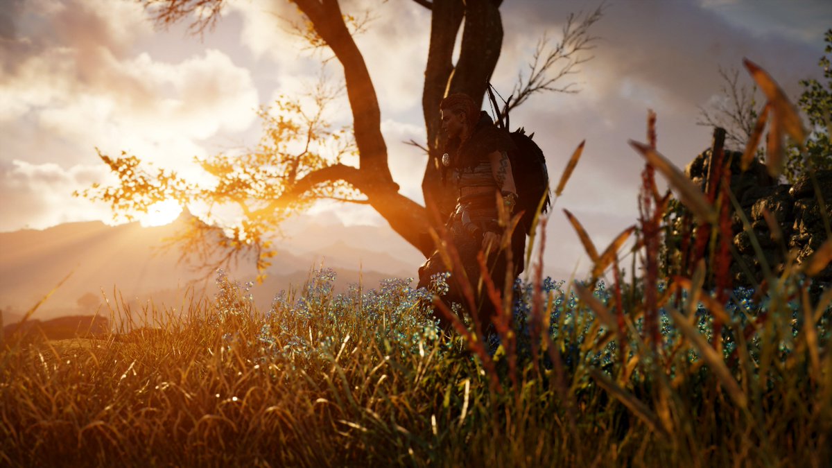 JadedVGP's tweet photo. the golden hour with Eivor...

#AssassinsCreedValhalla #AssassinsCreed #Eivor #ACPhotoMode #ACFinest 
#PhotoMode #VGPUnite #Gametography 
#VirtualPhotography #VPEclipse #TheCapturedCollective #ArtisticofSociety #WorldofVP #GamerGram https://t.co/O4wfyyUBch