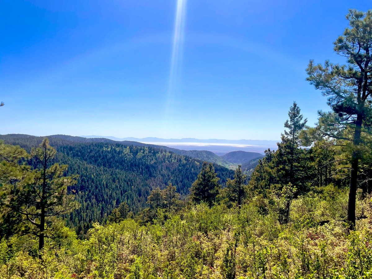 scatterjoyy's tweet photo. And into the forest I go, to lose my mind and find my soul. https://t.co/iL5syY7zXH