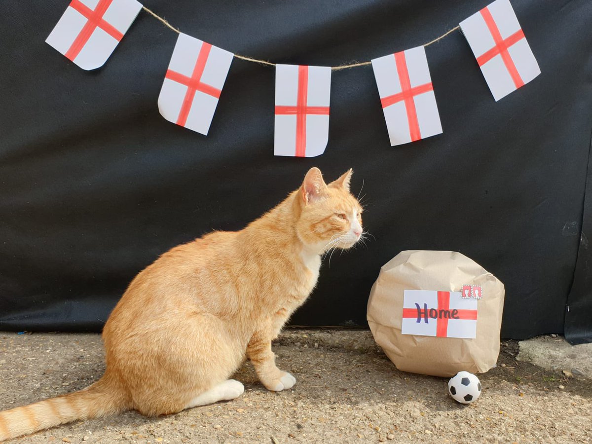 North Walsham garden (@northwalshamgc) on Twitter photo 