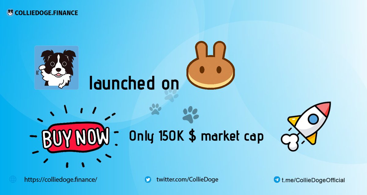 Collie Doge Coin 🐶 tweet media