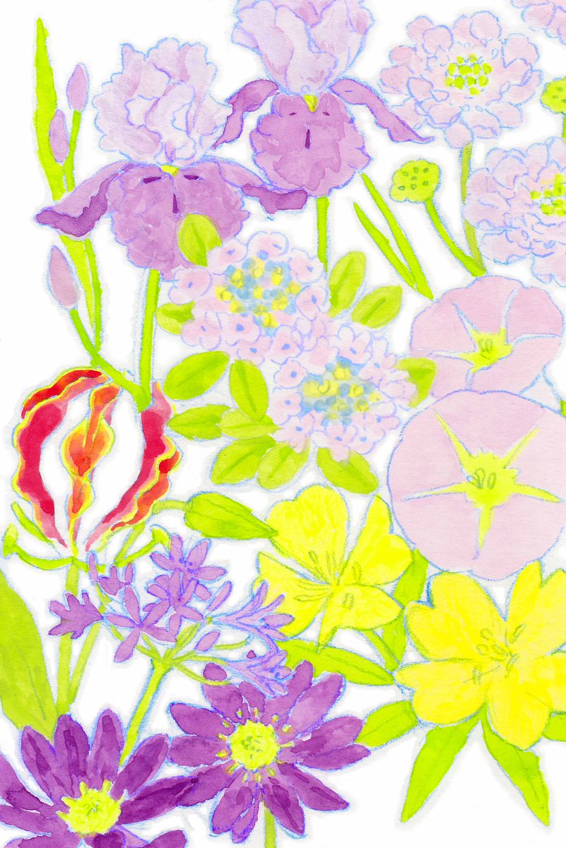 Twoucan 6月の誕生花 の注目ツイート イラスト マンガ コスプレ モデル Twoucan 6月の誕生花 の注目ツイート イラスト マンガ コスプレ モデル