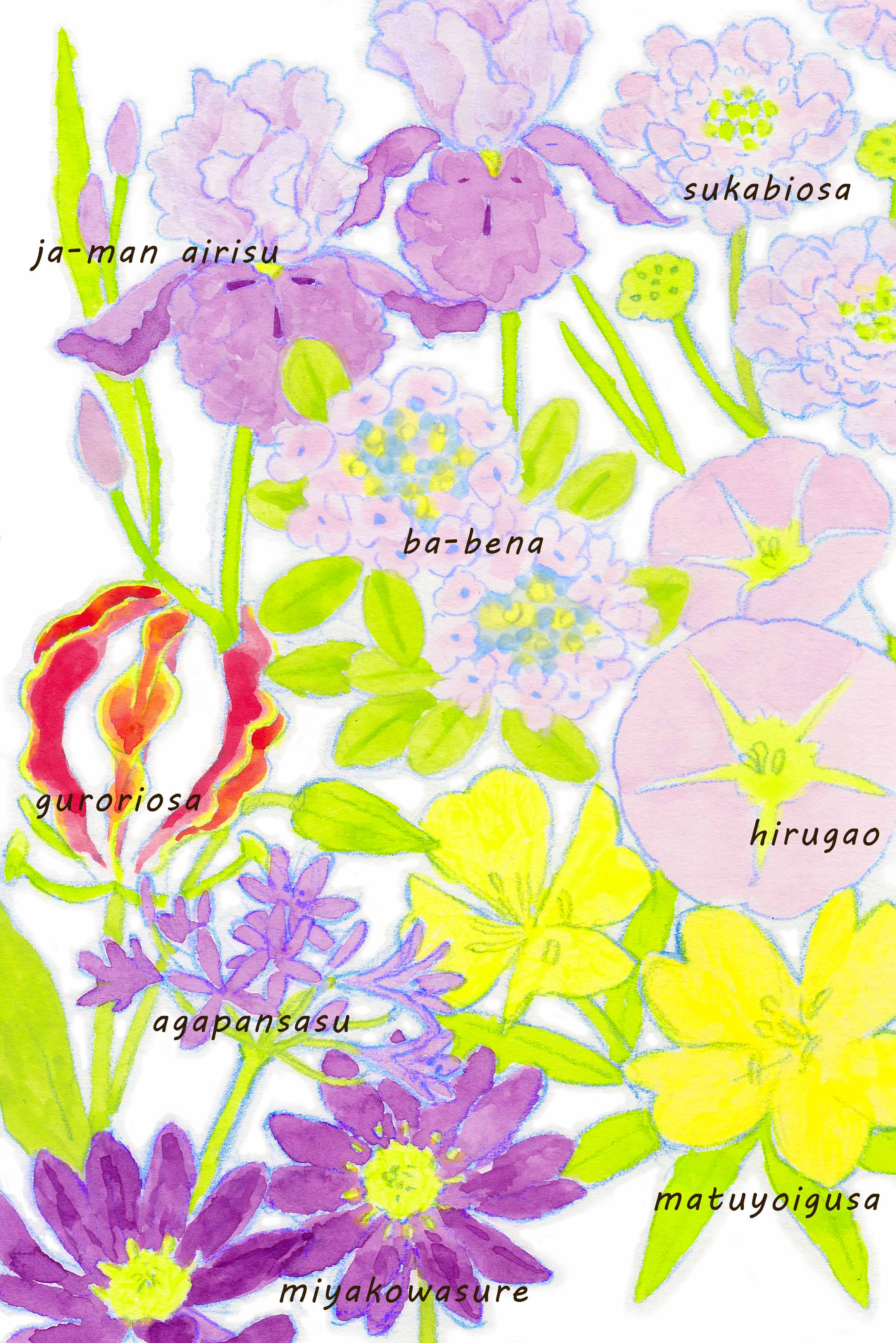 ｍｍｎｏｏｏ 花いっぱいのイラスト できました イラスト アナログイラスト ６月の誕生花 もう7月だけど 色鉛筆画 花のイラスト T Co E9fef0p8tf Twitter