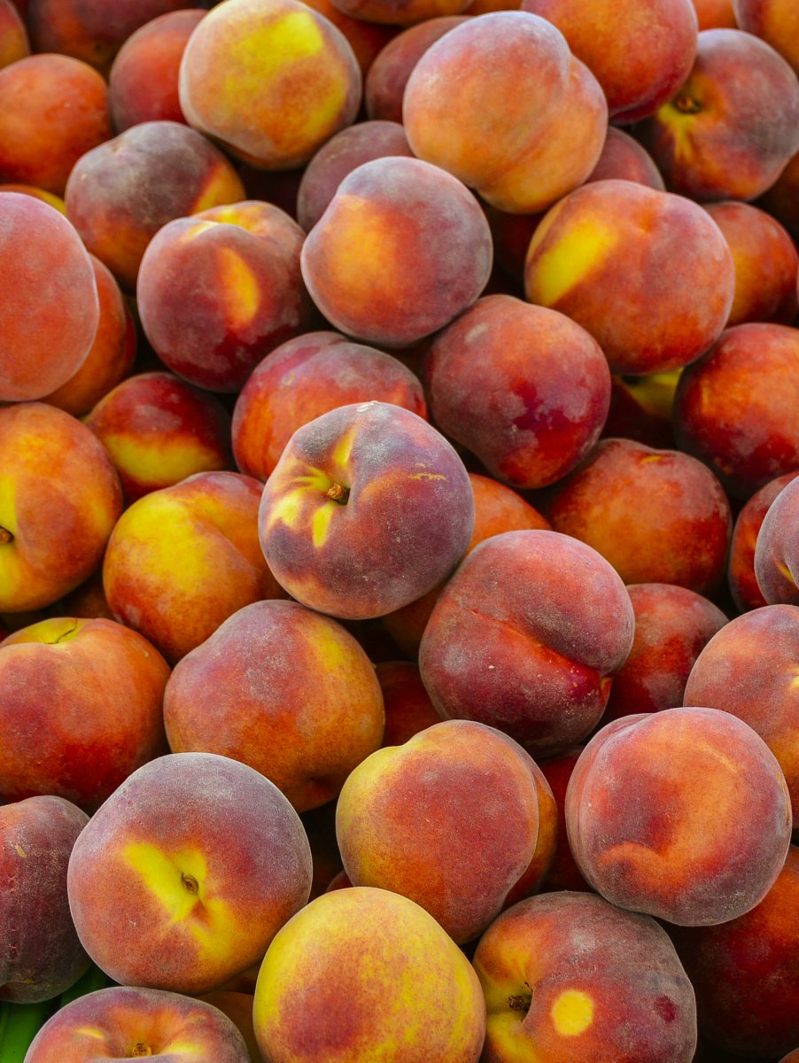 akadhim's tweet photo. Harvesting juicy peaches is mainly a family feast!
Them young ate 2 lb of peaches each! https://t.co/W5Xi7mHEGU