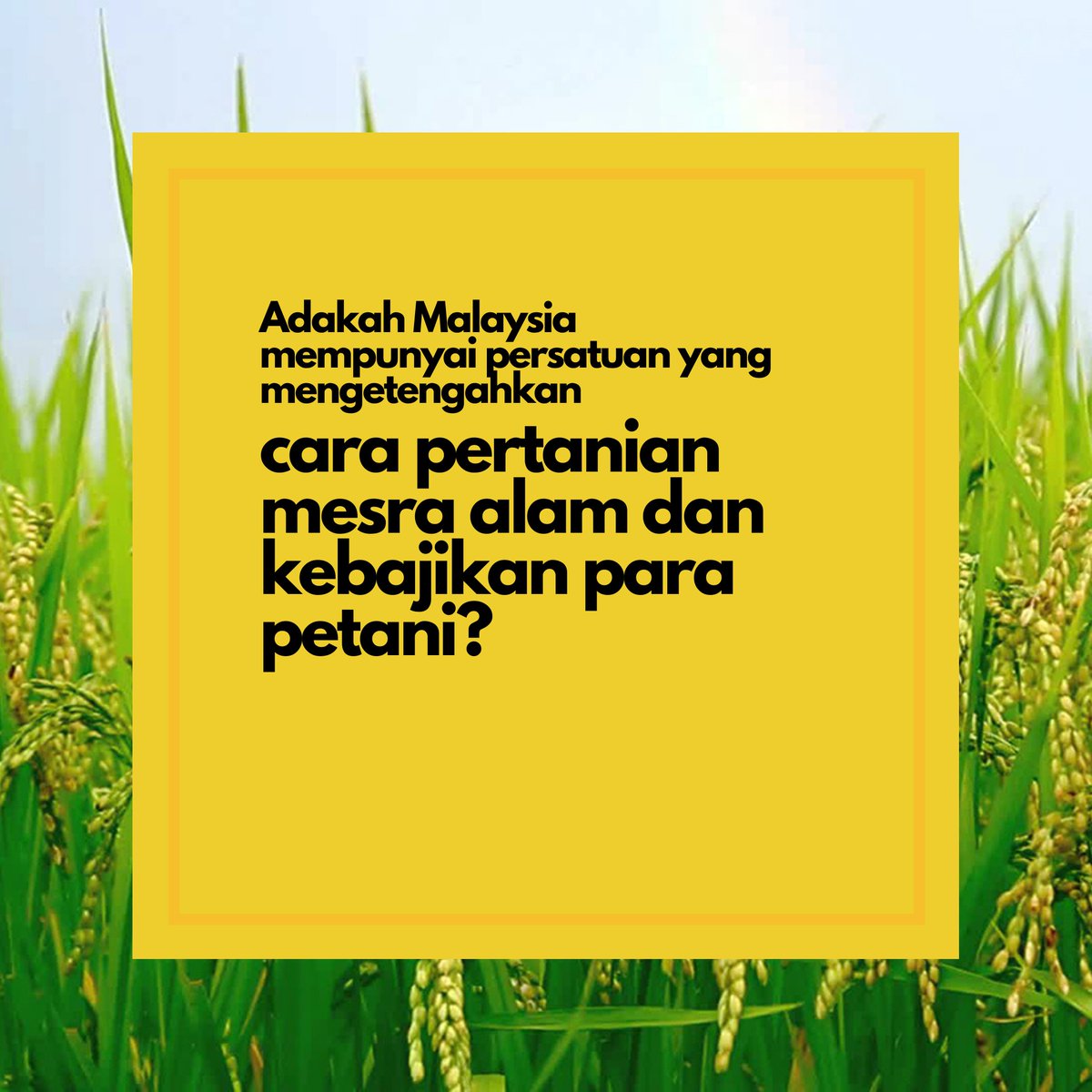 Malaysian Agroecology Society (SRI-Mas) tweet media