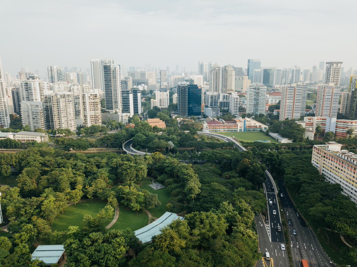 By 2050, 1.6 billion people living in 970 + cities 🏙️ will be regularly exposed to extreme high temperatures. 

But nature provides solutions: urban forests &amp; green spaces reduce heatwaves as trees &amp; plants cool the surrounding environment.
 
Learn more: bit.ly/3xme37G