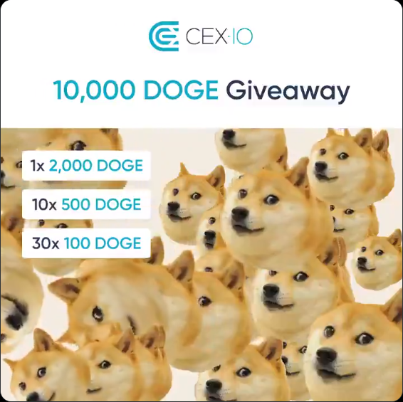 kapilareta's tweet photo. Don’t cry over lonely puppies🐶Have them in your wallet!

🥳$DOGE listed on CEX·IO and launching the hottest #Giveaway of this season. We know you want them🐕

Click here &amp; win the puppies 👉https://t.co/HmsBP4iqcE https://t.co/Nsbjn7wfvL