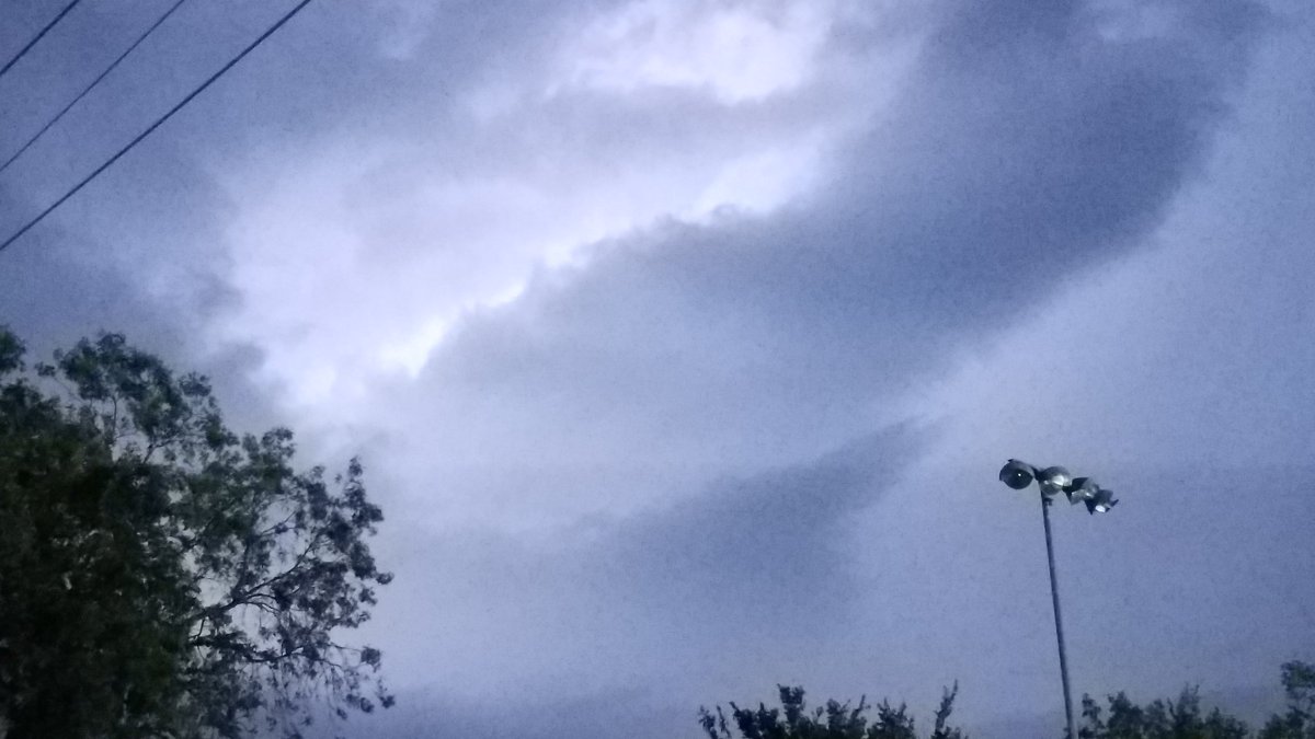 Rebels Softball 07-Dewert tweet media