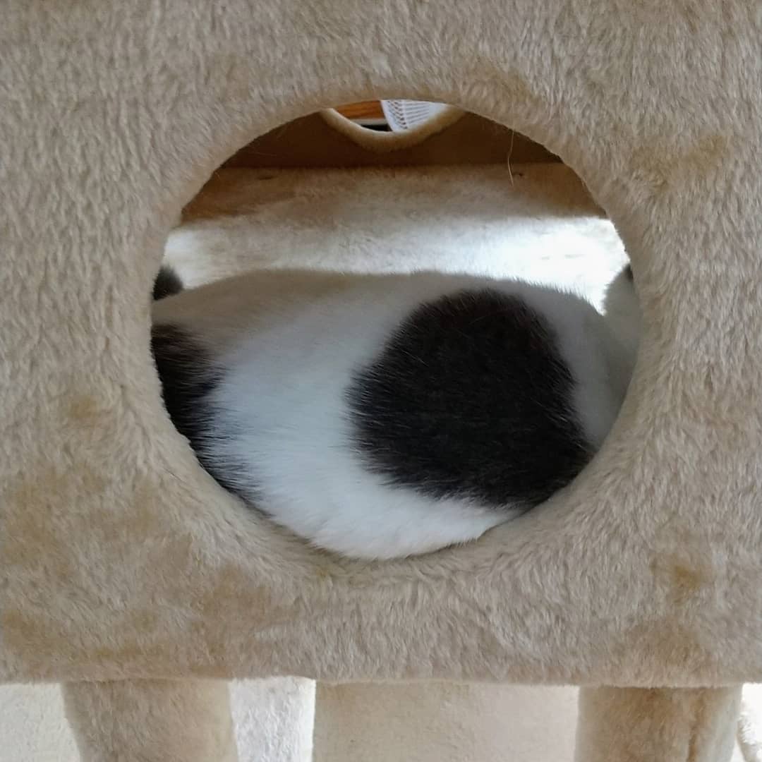 誰のお背中でしょ～？？ 答えは2枚目です ３枚目:いつもご来店いただい 