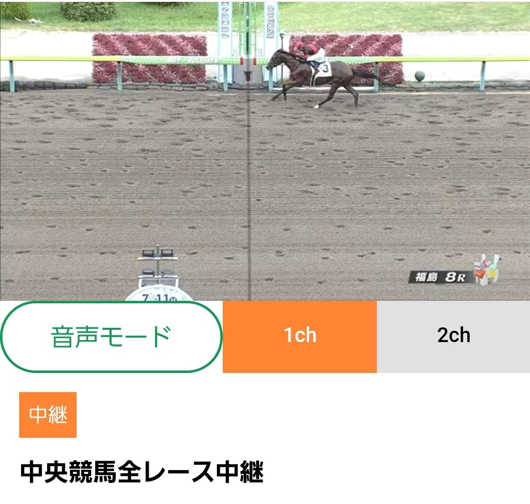 地方競馬オッズ研究会ver3~中山競馬場・アメリカジョッキーC、中京