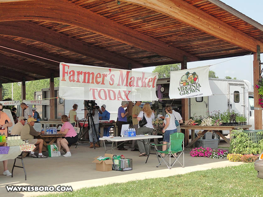 Shendigs.Com tweet media