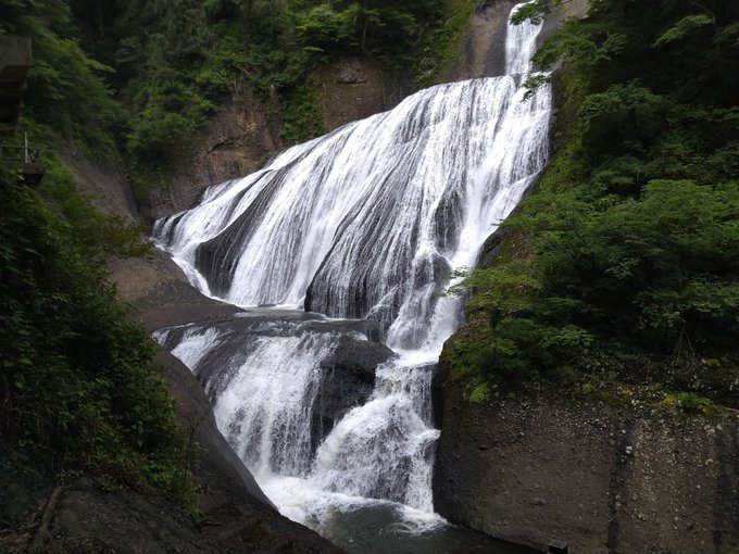 ざつ旅のtwitterイラスト検索結果