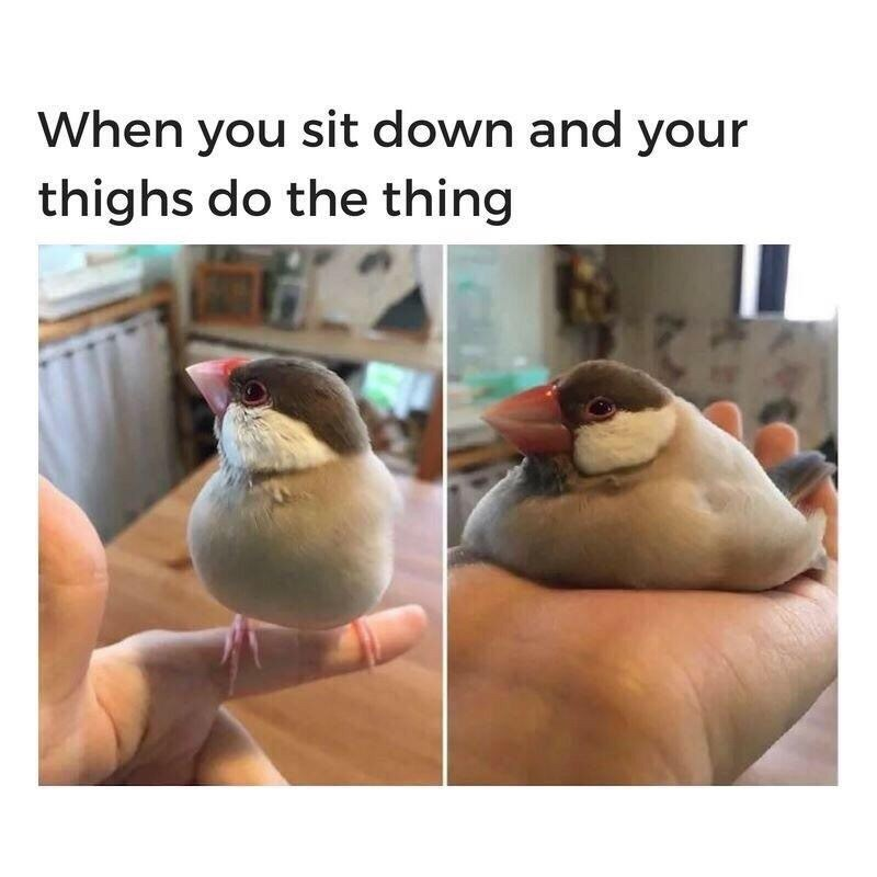 https://t.co/iJ0bSs9C6z