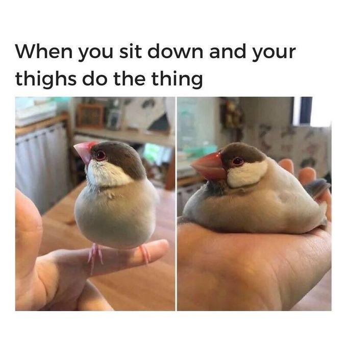https://t.co/iJ0bSs9C6z