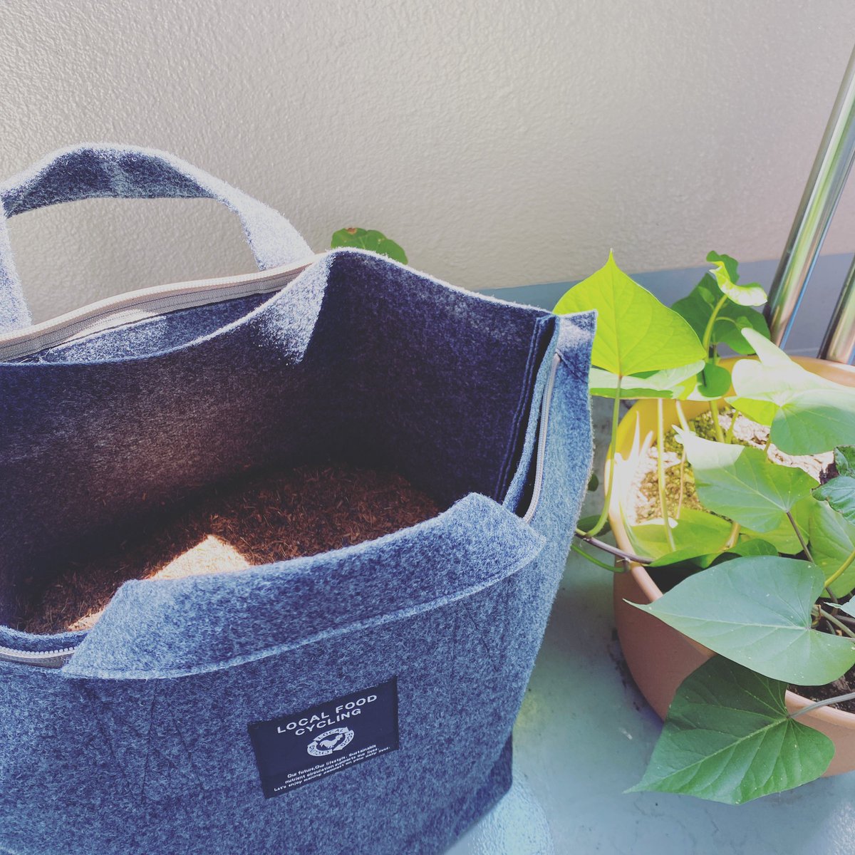 手塚祐介 Finger Ysk Twitter