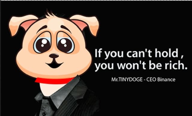 Tiny DOGE tweet media