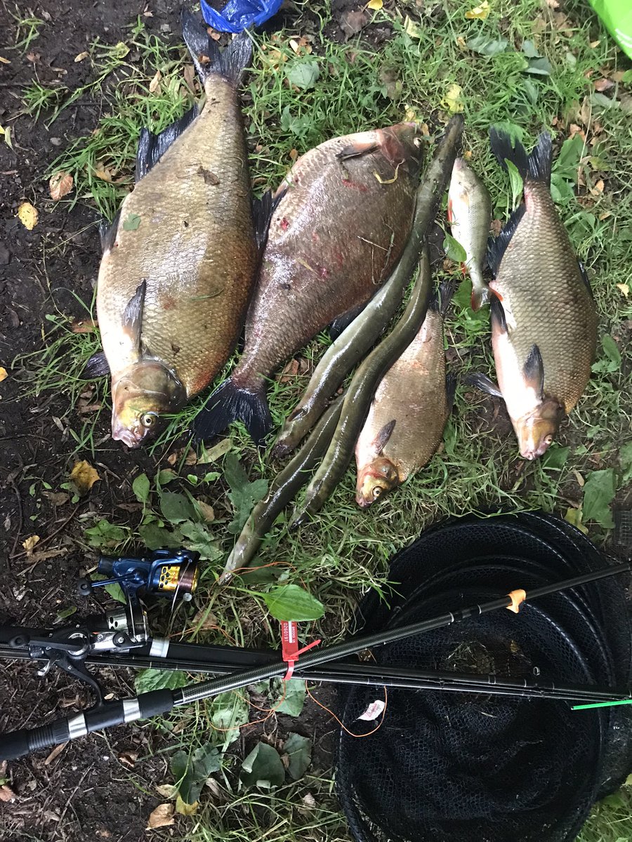 Result from being out at 0200 hrs, but mixed feelings with dead bream and eels, 3 in custody everything seized as evidence