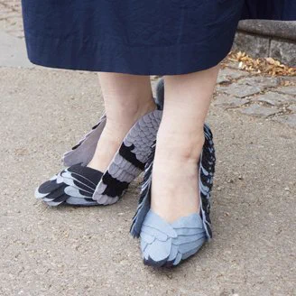 鳩のパンプス！仲間が拉致されてる・・・ｗ