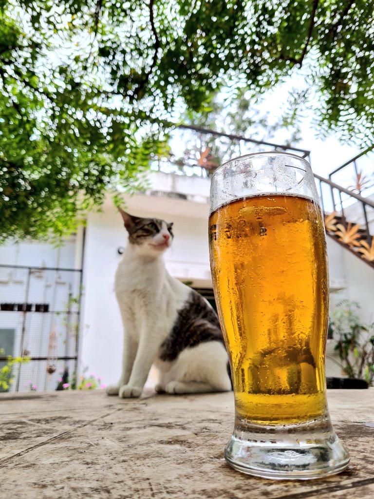 𝗦𝗮𝗻𝗶𝗹 tweet media