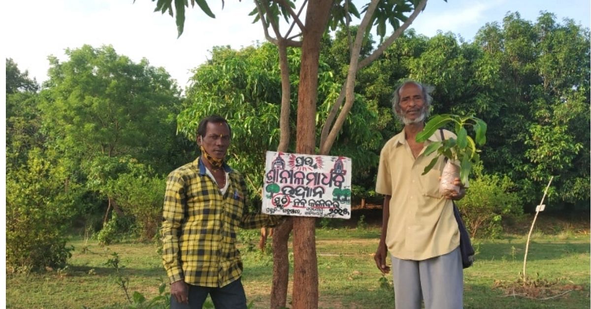 thebetterindia's tweet photo. https://t.co/litnUCDu7b 30,000 Trees, 1 Man: Meet Odisha's Incredible 75-Year-Old 'Tree Teacher' https://t.co/BrqwmecOLM