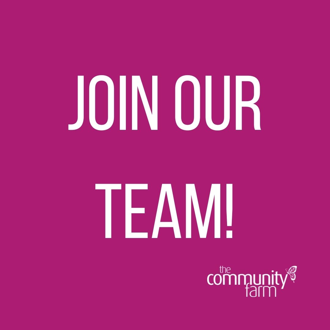 Come and be our Veg Shed Coordinator!

We're looking for someone to run our organic market stall, on site here at The Farm so if you're looking for the perfect Saturday job to supplement your income this is it.. thecommunityfarm.co.uk/jobs/veg-shed-…