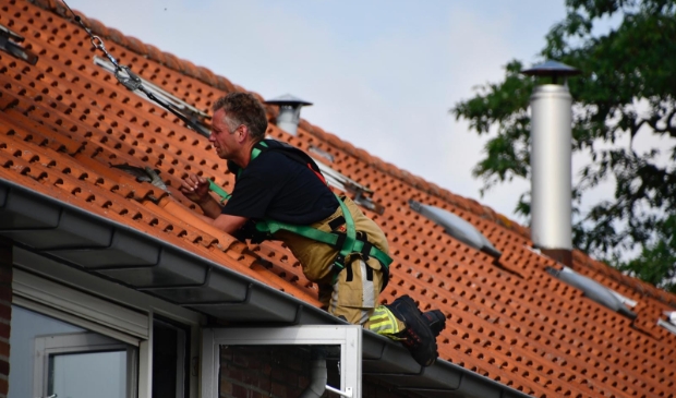 Jonge zwaluw bekneld onder dak: vogel gered door brandweer met hoogwerker
