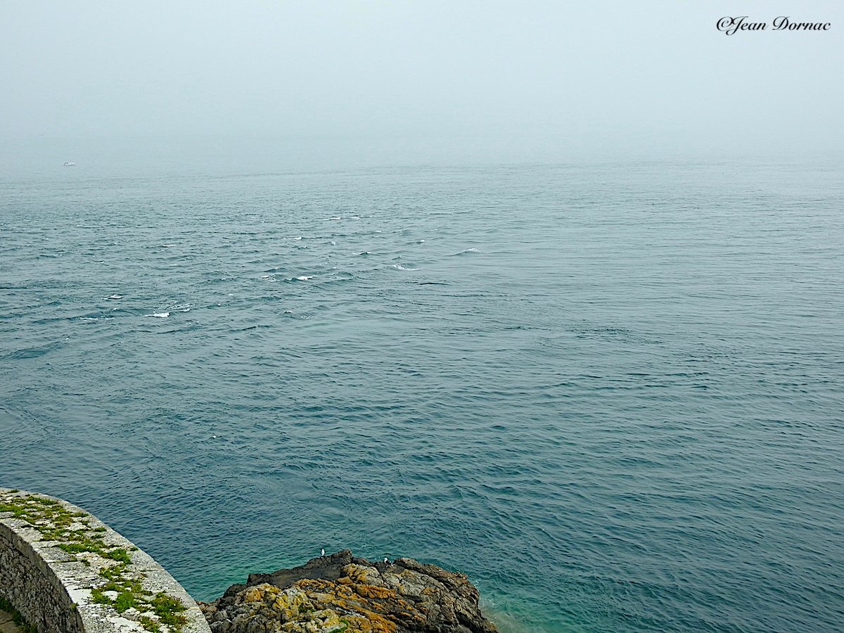 JeanDornac's tweet photo. Au large du Fort, la Manche s’agite quelque peu, sous le regard impassible de deux goélands bien tranquilles sur la roche tout en bas… #large #Manche #agite #regard #impassible #goélands #tranquilles #roche #fort #laLatte #CôteArmor #Bretagne #France https://t.co/RAcXFUD8TE