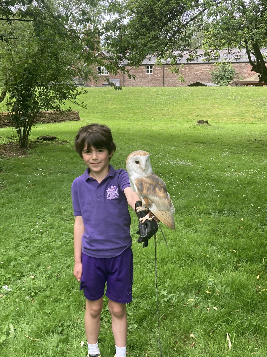 A truly wonderful way to celebrate the end of year with dinosaurs, circus skills and falconry. Thank you to our marvellously supportive friends of agincourt and parents. Happy summer to you all from <a href="/MonSchPrePrep/">Monmouth Pre-Prep</a>