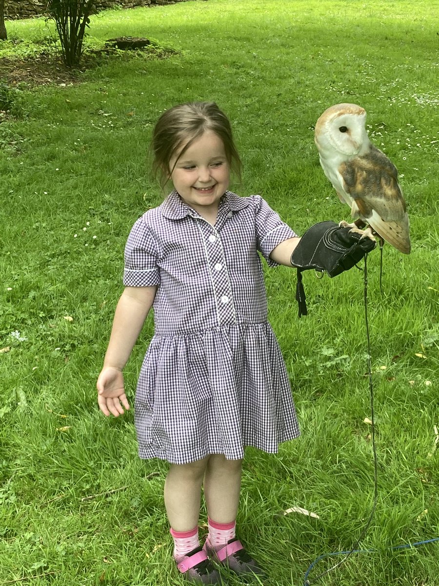 MonSchPrePrep's tweet photo. A truly wonderful way to celebrate the end of year with dinosaurs, circus skills and falconry. Thank you to our marvellously supportive friends of agincourt and parents. Happy summer to you all from @MonSchPrePrep https://t.co/OARmhCoppf