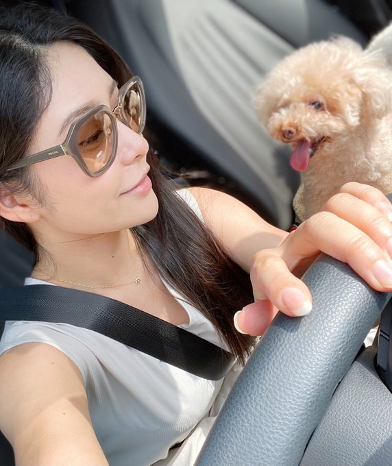 安全運転でちょっと🤏そこまで🚗🏔 https://t.co/OuR1pAuWvz