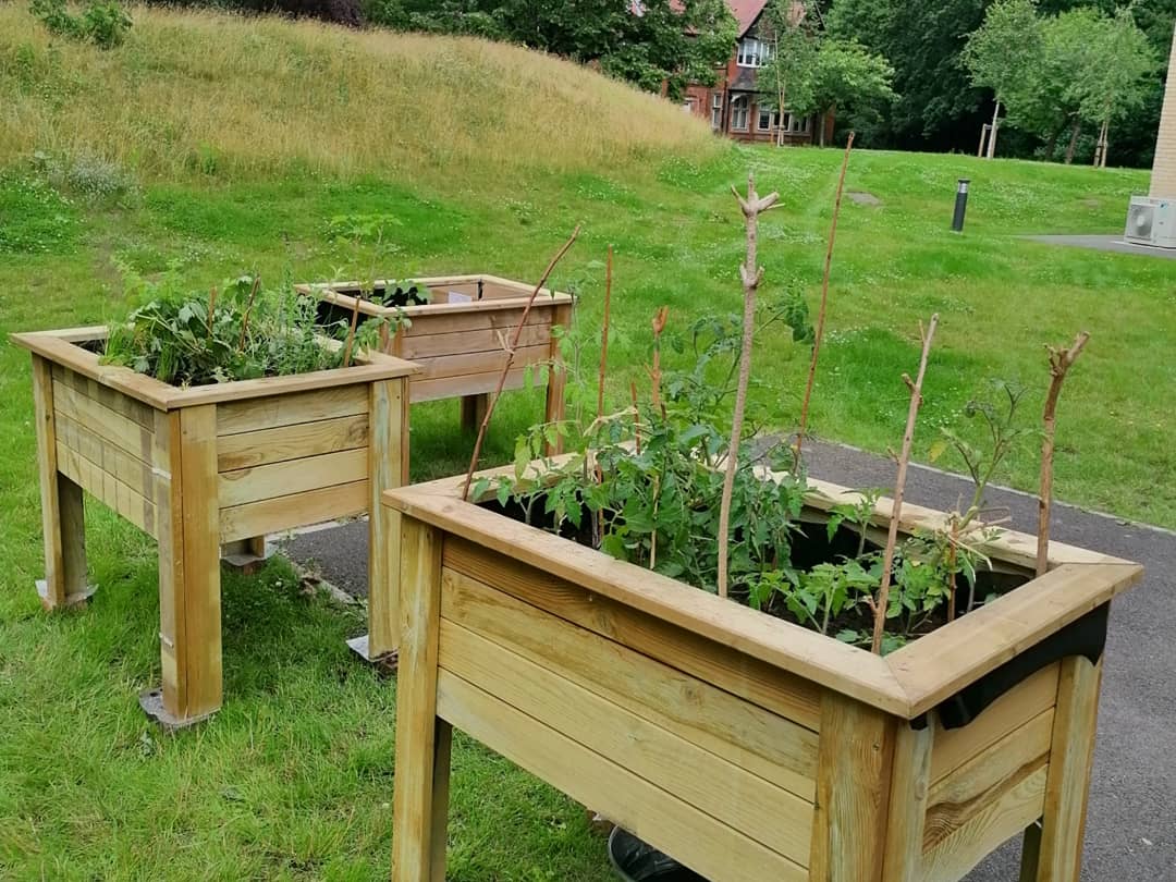 Yesterday's hard work! Well done everyone. #communityallotment #socialprescribing #wellbeing

@UNHS_Cripps <a href="/UniofNottingham/">Uni of Nottingham #WeAreUoN</a>