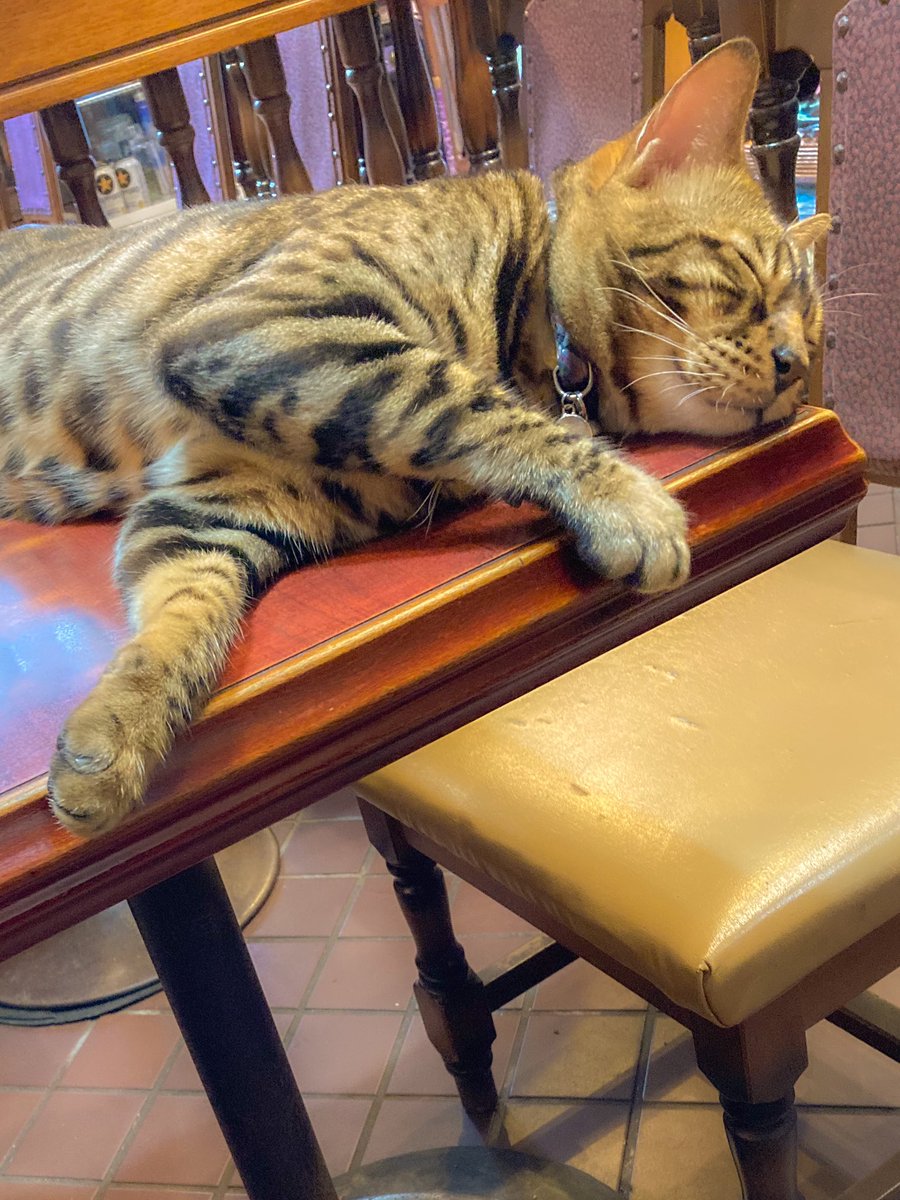 9Tq1b7's tweet photo. 喫茶店で読書してたら、突如あらわれた至福の時間 https://t.co/yHnM4KAcEh