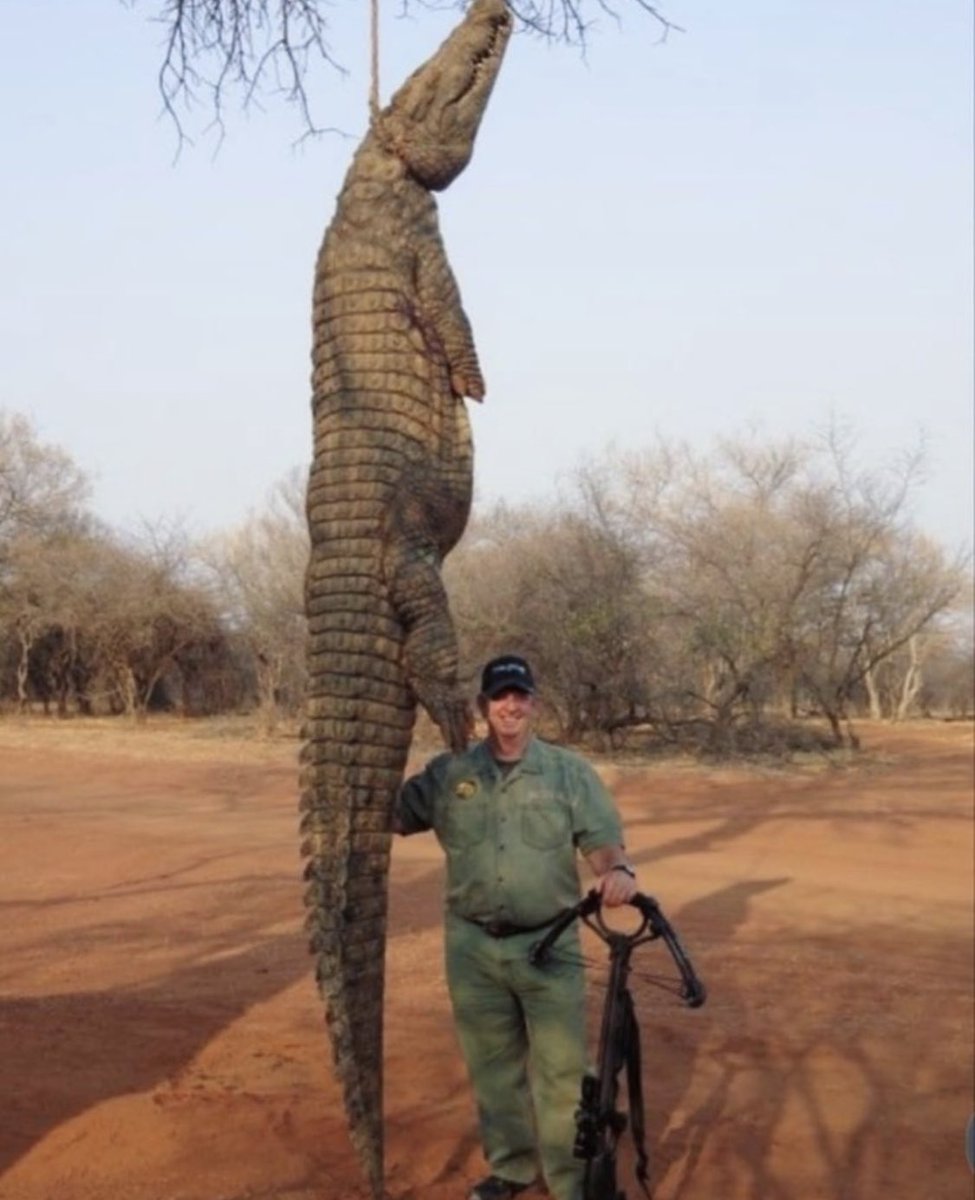 ECOAlphaTango's tweet image. ⭕️Killing for pleasure is solid proof of your psychopathology. You cannot expect to be respected in return as Respect is not given but earned 👈🏻

So stop playing the #VictimCard when you are severely despise on your self-centered, sadist behaviors.
#TrophyHuntingIsNotConservation