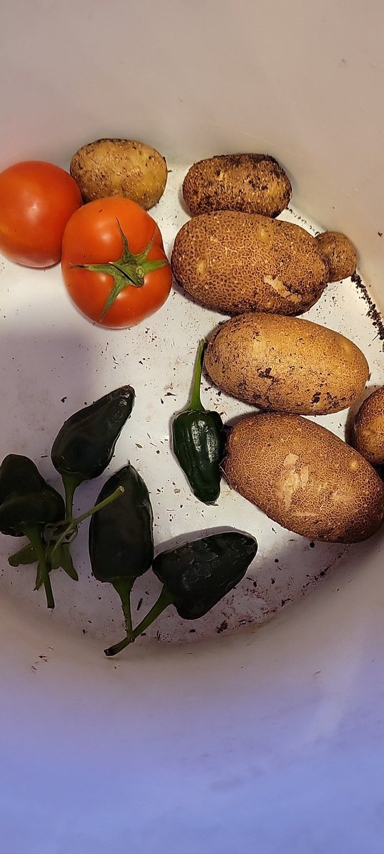 basmannnn's tweet image. 