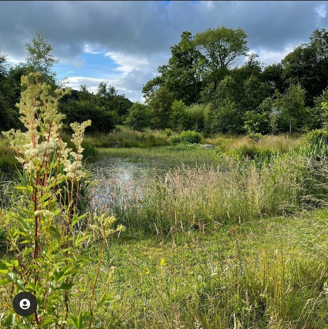 Garden Open this Sunday <a href="/CumbriaNGS/">Cumbria</a> 10:30-4pm Pay on door.

Home baking and refreshments.

Big interview on <a href="/LDRwaves/">Lake District Radio</a> with @cumbrianrambler 9:30ish on today! 

All monies raised go to the @nationalgardenscheme charities!

#LakeDistrict #Cumbria #GardeningTwitter #gardening