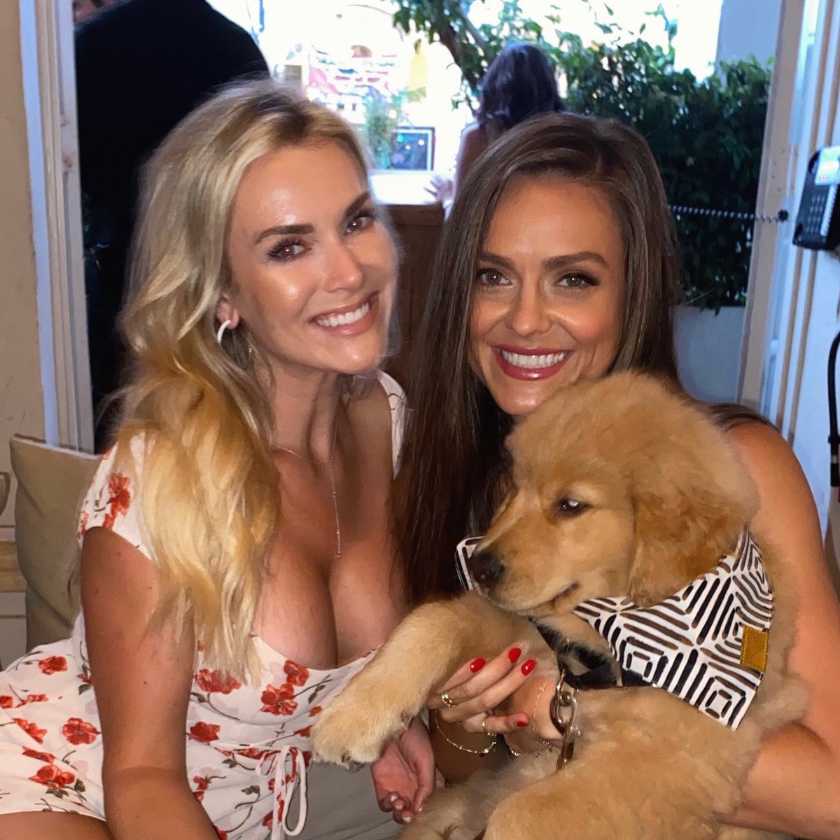 This puppy loves #Bitcoin!