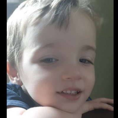 Brendan Rapp tweet media