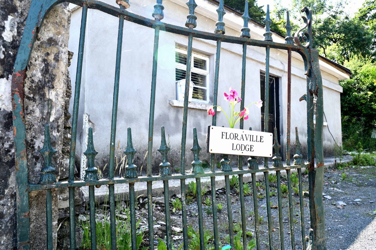 JJ_Gazette's tweet photo. ↑ "Could Bloom of 7 Eccles Street foresee Bloom of Flowerville?"
— #Ulysses, p. 667, 1922 ed. [U 17.1581]
#Ulysses100 #JamesJoyce #Ithaca #Flowerville

10 July 2021
'Floraville Lodge', Monastery Rd., Clondalkin, Dublin
… with added sweet pea [U 17.1556]!
#Floraville #Clondalkin https://t.co/iTAjjuEqwt
