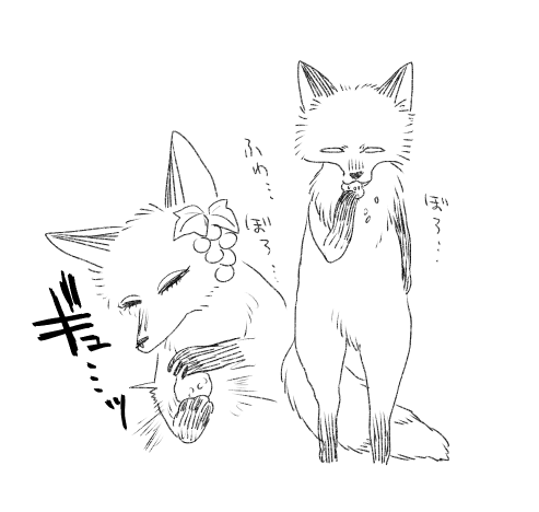 おにぎりは食べてる途中に崩壊するからふわふわとかいらんしギチギチに握って欲しいと言ったら団子食ってろ、おにぎりの醍醐味がない、食べるの下手過ぎない?と言われたうどんちゃんです 