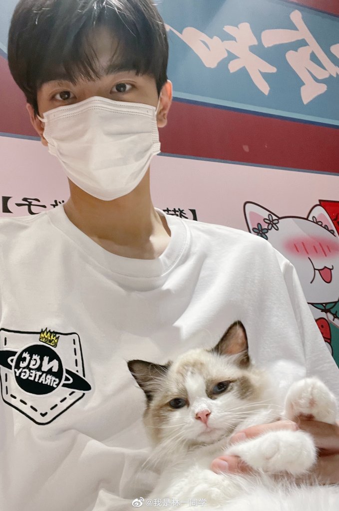 linyiger's tweet photo. 저 애기들은 까바랑 친구하고 린이는 나랑 친구하잨ㅋㅋㅋ https://t.co/DRgHdDqwti
