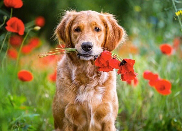 Buenos días <a href="/JoseilyMon/">Sra. Yo soy de aquí 19K</a> te deseo un Fabuloso día.
Reconfortemos con Amor, hasta ser una fuente de paz, de tranquilidad en medio de tormentas y desafíos. 
El servicio desinteresado y el amor incondicional por todos, caracterizarán nuestras vidas