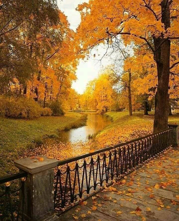 Buenos días <a href="/PretoduCaralho1/">José Luis Da Silva Pe...</a> te deseo un Fabuloso día.
Reconfortemos con Amor, hasta ser una fuente de paz, de tranquilidad en medio de tormentas y desafíos. 
El servicio desinteresado y el amor incondicional por todos, caracterizarán nuestras vidas