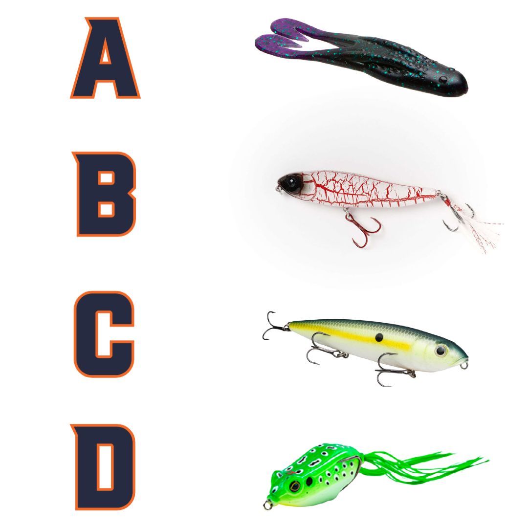 Rank these topwater lures from your most-used choice to least in the comments! 👇
#TheBetterBag
#MONSTERBASS