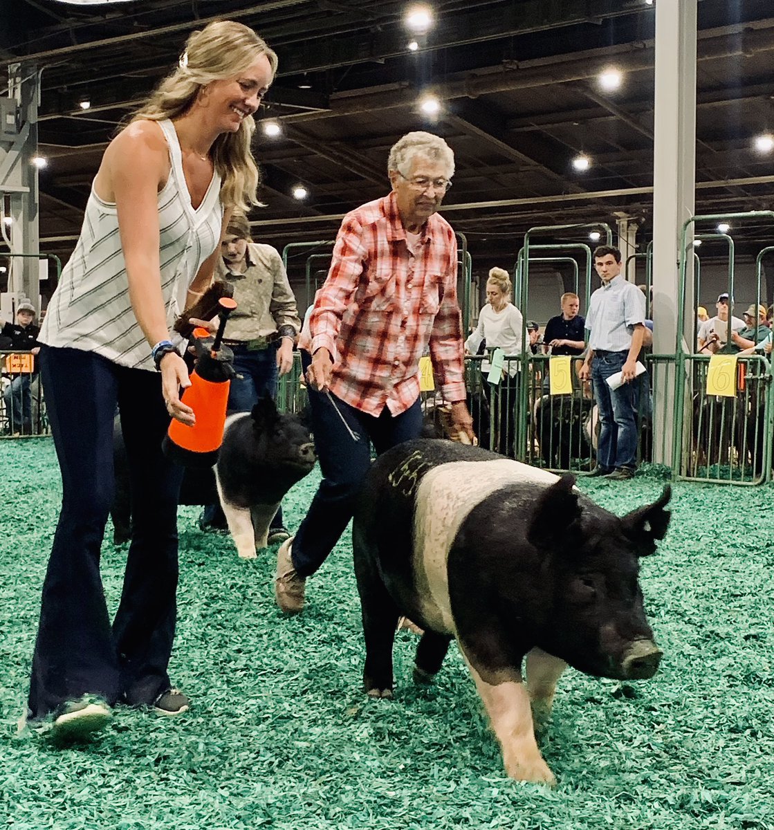 carlyjill31's tweet photo. My sweet, spunky, 92.5 year old Grandma got to show a pig again &amp; it was the best thing ever! The look on her face is truly priceless ☺️ https://t.co/xPq7cGtFGw