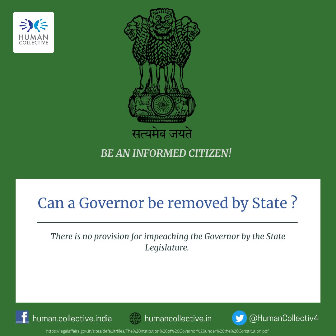 Human Collective tweet media