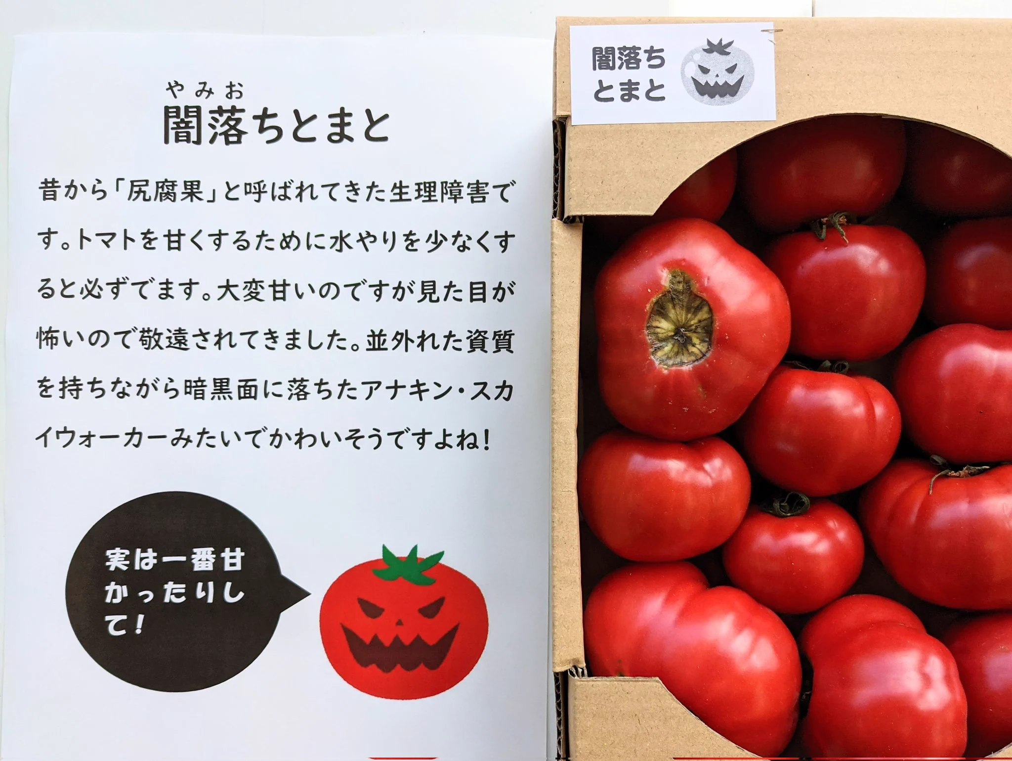 闇落ちトマト！実はとってもうまいのです。