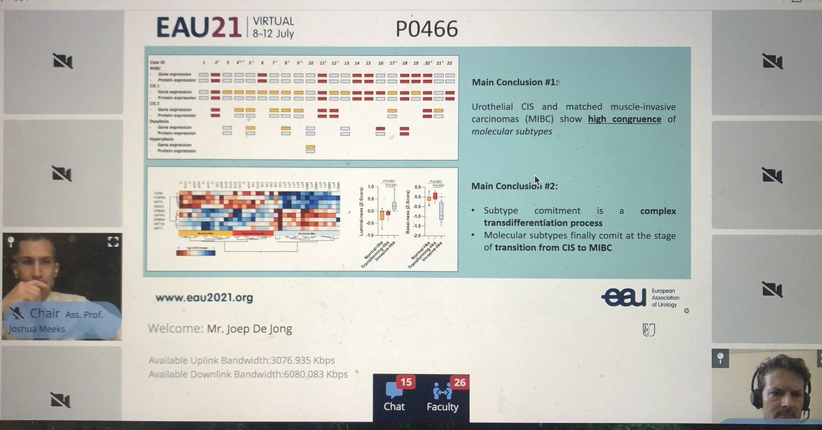Joep J. de Jong (@joepjdejong) on Twitter photo <a href="/Markuseckstein3/">Markus Eckstein</a> on bladder tumor subtype commitment occurring in CIS driven by key signaling pathways including ECM remodeling - may this observation be attributed to certain levels of tumor scarring? <a href="/Uroweb/">European Association of Urology (EAU)</a> #EAU21 Also, great job by <a href="/JoshMeeks/">Joshua Meeks</a> and <a href="/Roland3097/">Roland Seiler-Blarer</a> on the hosting! <a href="/Markuseckstein3/">Markus Eckstein</a> on bladder tumor subtype commitment occurring in CIS driven by key signaling pathways including ECM remodeling - may this observation be attributed to certain levels of tumor scarring? <a href="/Uroweb/">European Association of Urology (EAU)</a> #EAU21 Also, great job by <a href="/JoshMeeks/">Joshua Meeks</a> and <a href="/Roland3097/">Roland Seiler-Blarer</a> on the hosting!