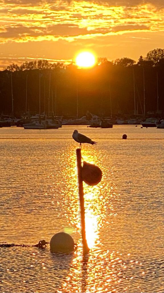 Beautiful sunsets in Bembridge this week… @iowhouseboats #bembridgehouseboats