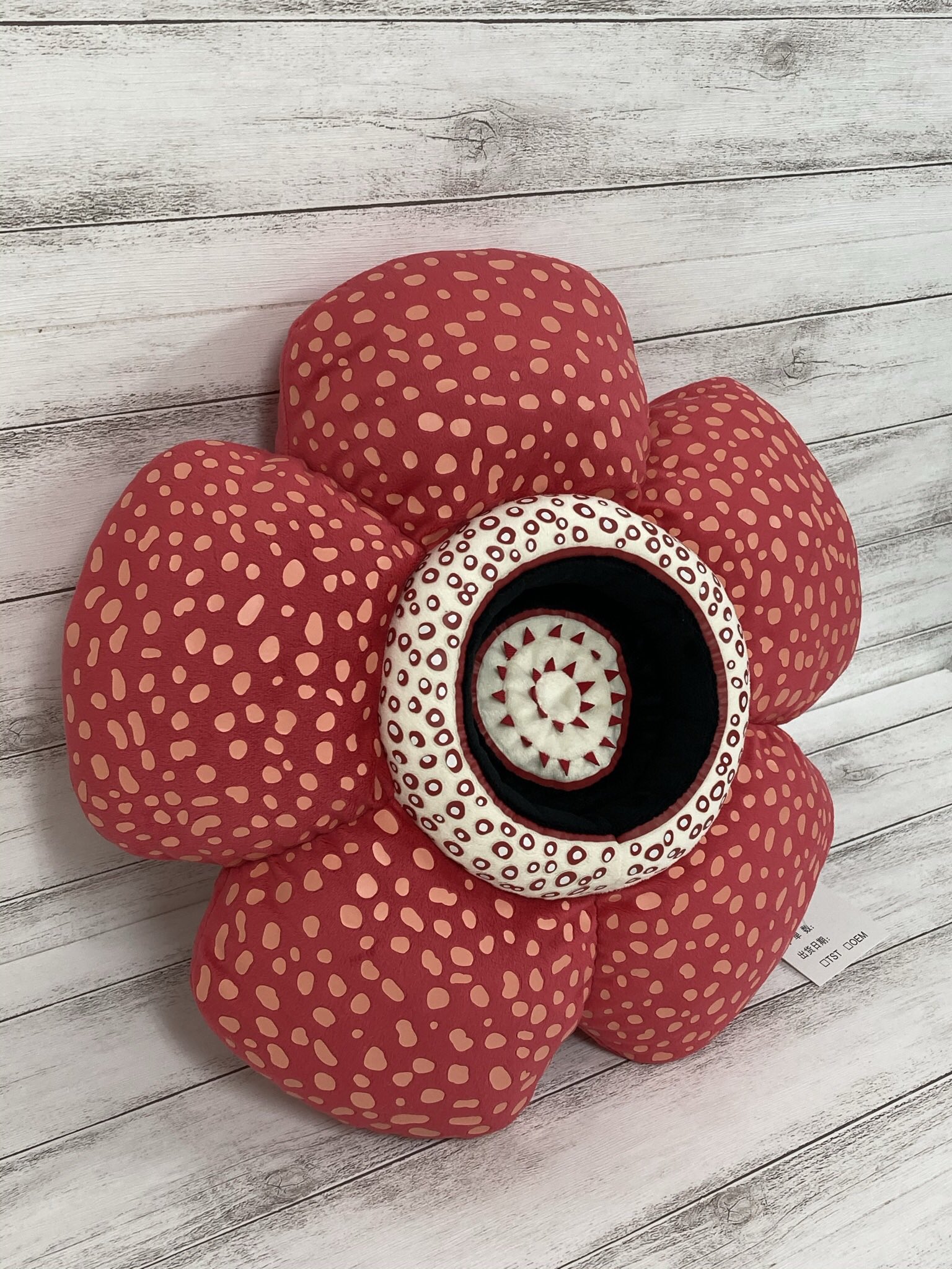 植物展 ラフレシアクッション&ラフレシアマグネット